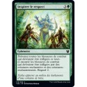 (FOIL) Verte - Inspirer le respect (C) [THB]
