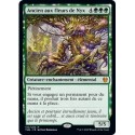 (FOIL) Verte - Ancien aux fleurs de Nyx (M) [THB]