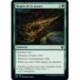 (FOIL) Verte - Regain de la nature (C) [THB]