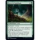 (FOIL) Verte - Havre de Sauleloup (U) [THB]
