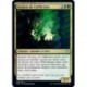 (FOIL) Or - Acolyte de l'affliction (U) [THB]