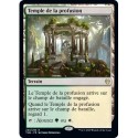(FOIL) Terrain - Temple de la profusion (R) [THB]