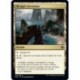 (FOIL) Terrain - Rivages inconnus (C) [THB]