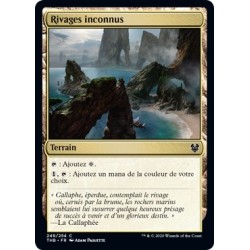 (FOIL) Terrain - Rivages inconnus (C) [THB]