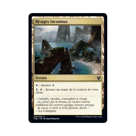 (FOIL) Terrain - Rivages inconnus (C) [THB]