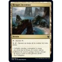 (FOIL) Terrain - Rivages inconnus (C) [THB]