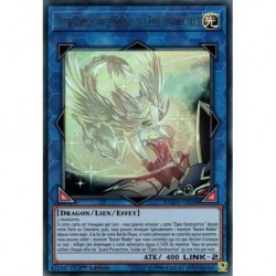 Jeune Protectrice, Soldat de l'Épée Destructrice (UR) [DUOV]