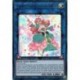 Harmoniste Florale la Compositrice de Musique (UR) [DUOV]