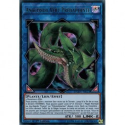 Anaconda Vert Prédaplante (UR) [DUOV]
