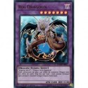 Roi Dragoon (UR) [DUOV]