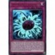 Dinomischus Paléozoïque (UR) [DUOV]