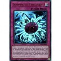 Dinomischus Paléozoïque (UR) [DUOV]