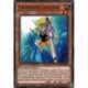 Tournevis Gaucher (C) [SR10]