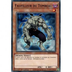 Faufilleur du Tombeau (C) [SDSA]