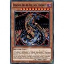 Dragon Arc-en-Ciel des Ténèbres (C) [SDSA]