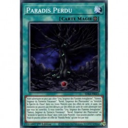 Paradis Perdu (C) [SDSA]