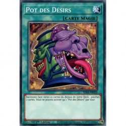 Pot des Désirs (C) [SDSA]