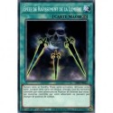Épées de Ravissement de la Lumière (C) [SDSA]