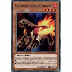 Salamangrande Loupie (C) [MP20]
