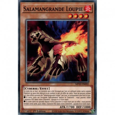 Salamangrande Loupie (C) [MP20]