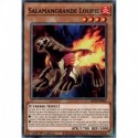 Salamangrande Loupie (C) [MP20]
