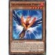 Salamangrande Perro (C) [MP20]