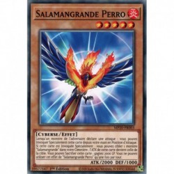 Salamangrande Perro (C) [MP20]