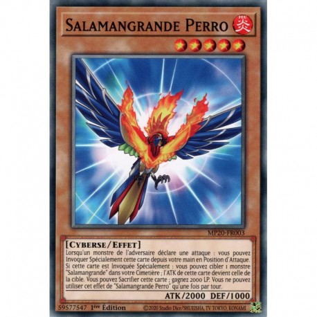 Salamangrande Perro (C) [MP20]