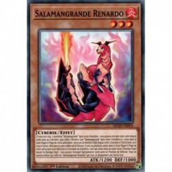 Salamangrande Renardo (C) [MP20]