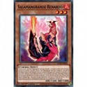 Salamangrande Renardo (C) [MP20]