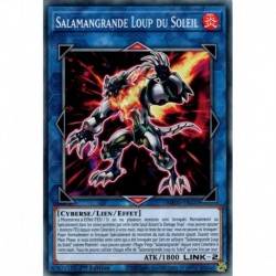 Salamangrande Loup du Soleil (C) [MP20]