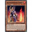 Salamangrande Fennec (C) [MP20]