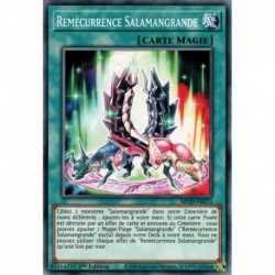 Remècurrence Salamangrande (C) [MP20]