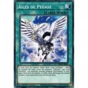Ailes de Pégase (C) [MP20]
