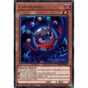 Capsuquille (R) [MP20]