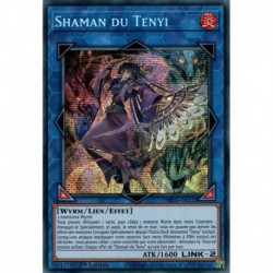 Shaman du Tenyi (PSTR) [MP20]