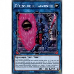 Défenseur du Labyrinthe (C) [MP20]