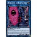 Défenseur du Labyrinthe (C) [MP20]