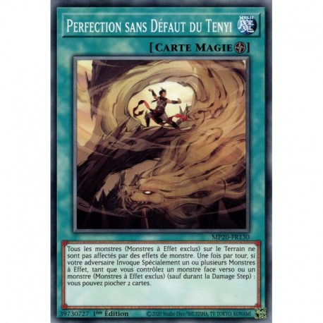 Perfection sans Défaut du Tenyi (C) [MP20]