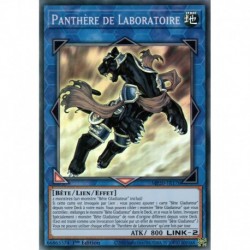 Panthère de Laboratoire (SR) [MP20]