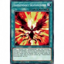 Transcendance Salamangrande (C) [MP20]