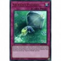 Sacrifice Paisible (UR) [MP20]