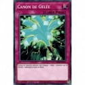Canon de Gelée (C) [MP20]