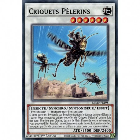 Criquets Pèlerins (C) [MP20]