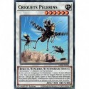 Criquets Pèlerins (C) [MP20]