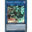 Dragon Surexplo (SR) [MP20]