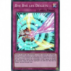 Bye Bye les Dégâts (SR) [MP20]