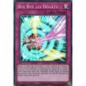 Bye Bye les Dégâts (SR) [MP20]
