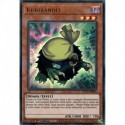 Kuribandit - titre Vert (UR) [DLCS]