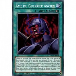 Âme du Guerrier Ancien (C) [DLCS]